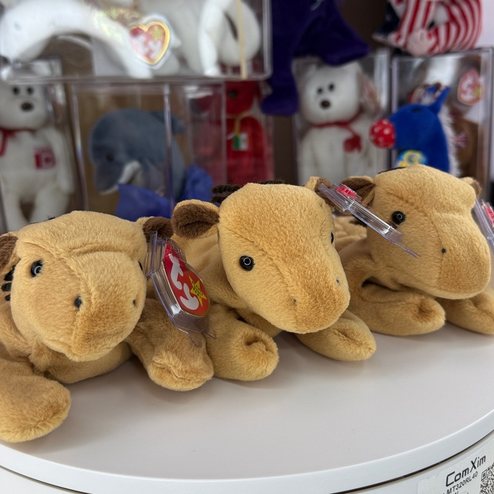 💥🐴Collector’s Set: Rare Derby Evolution Trio: No Star/Sticker/Star Tag - PVC